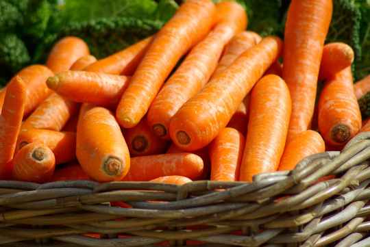 vegetables market basket carrots