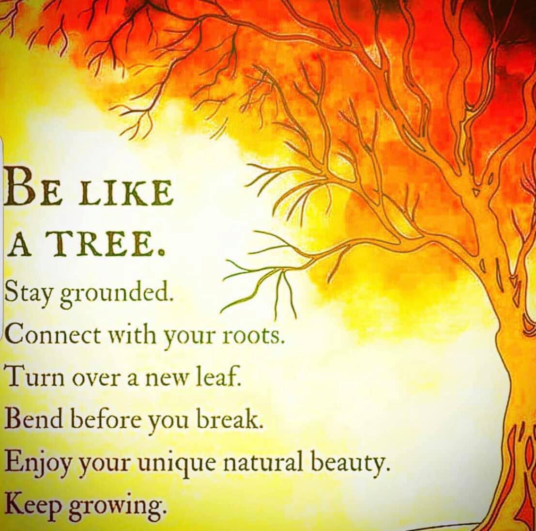 Be Like a Tree